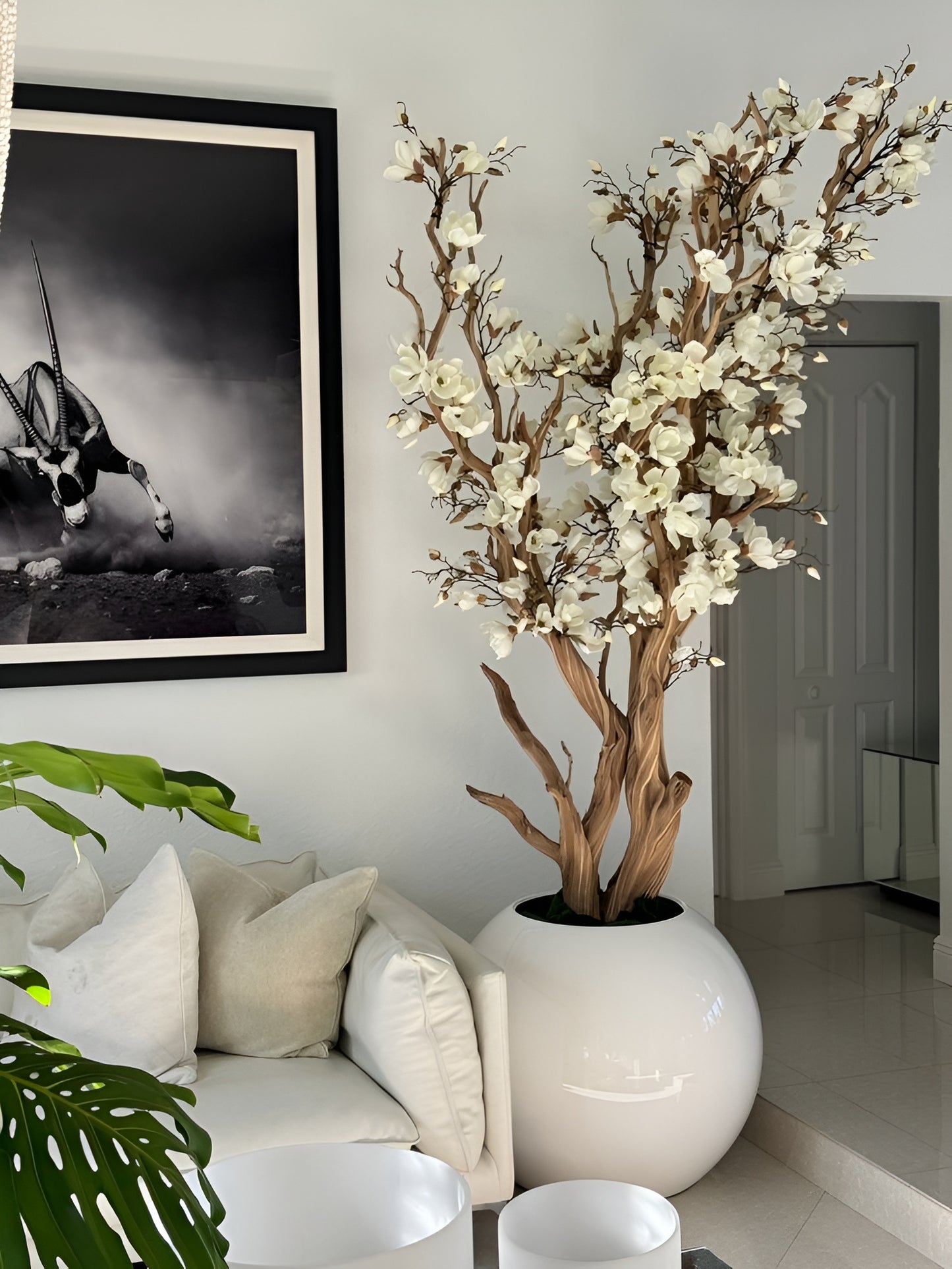 MAGNOLIA