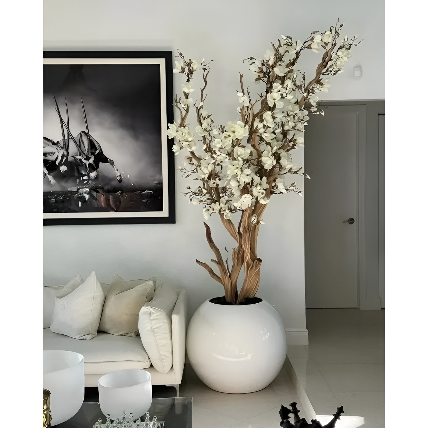 MAGNOLIA